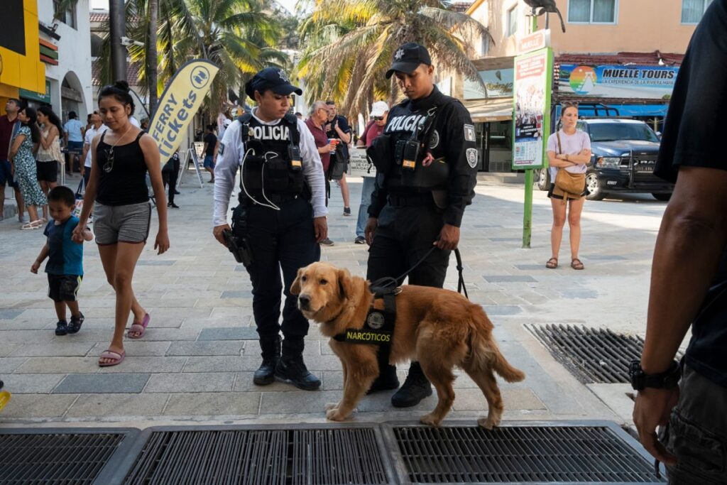 Playa del Carmen entre las ciudades con mejor percepción de seguridad, según encuesta