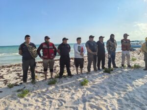 Suman esfuerzos para sofocar el incendio en Holbox
