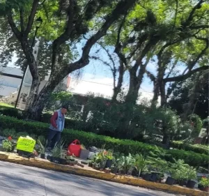 Un abuelito de 61 años  de Veracruz  encontró en el trueque de plantas una manera de enfrentar la falta de empleo