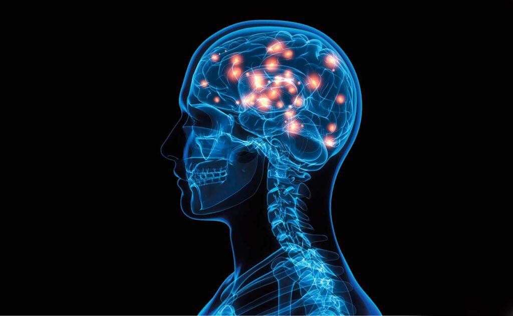Entrena tu mente: guía neurocientífica para combatir el estrés y la soledad