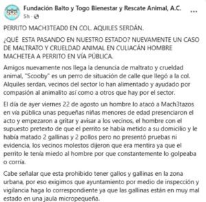Hombre ataca a machetazos a un perrito por comerse una gallina 
