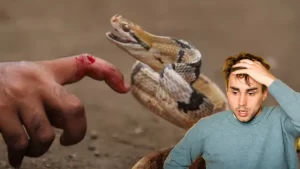 ¿Cuál es más mortal: la abeja, la serpiente o el alacrán?