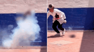 Estudiantes hacen explotar a gatito con pirotecnia en Guanajuato: autoridades investigan