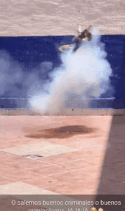 Estudiantes hacen explotar a gatito con pirotecnia en Guanajuato: autoridades investigan