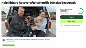 Turista fue atacado por abejas tras salvar a su perro
