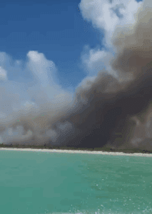 Suman esfuerzos para sofocar el incendio en Holbox