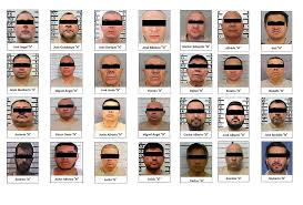 EU agradece a México por extraditar a líderes del narco