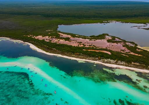 Quintana Roo presenta la Ley Tajamar para proteger manglares y ecosistemas costeros