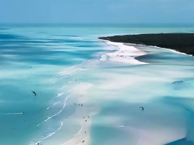 Punta Mosquito: El paraíso escondido de Holbox que debes descubrir