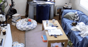Perrito pide canciones a “Alexa” y deja sorprendido a todo el mundo