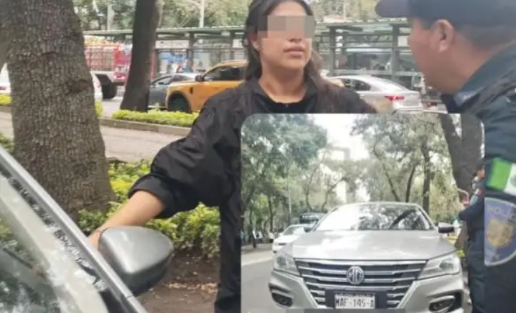 Mujer atropella a perrito Husky y se burla del suceso