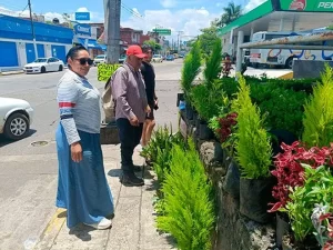 Un abuelito de 61 años  de Veracruz  encontró en el trueque de plantas una manera de enfrentar la falta de empleo
