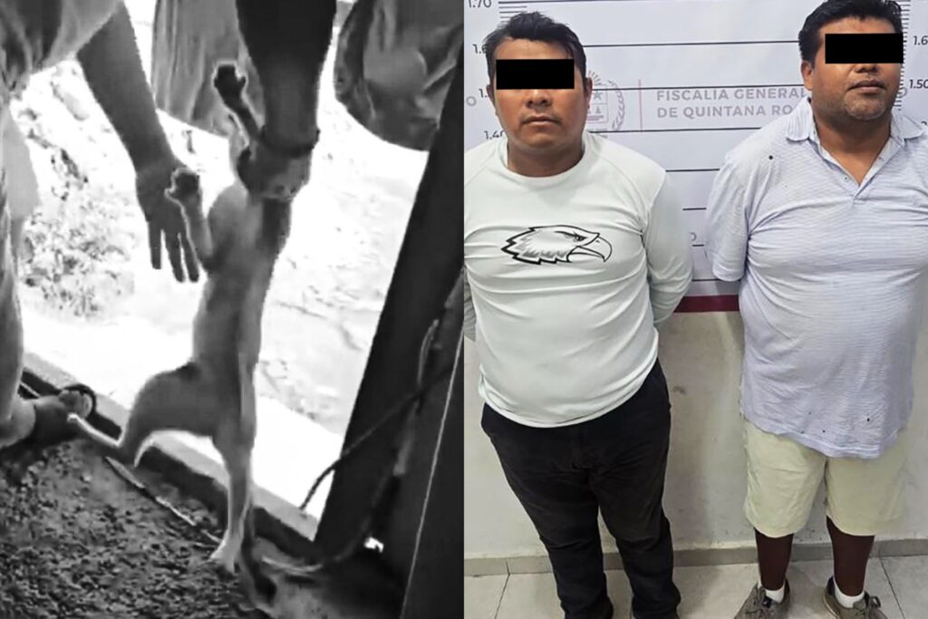 Dos hombres detenidos por maltrato animal en Tulum
