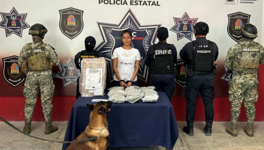 Binomio canino halla caja con drogas; una mujer fue detenida