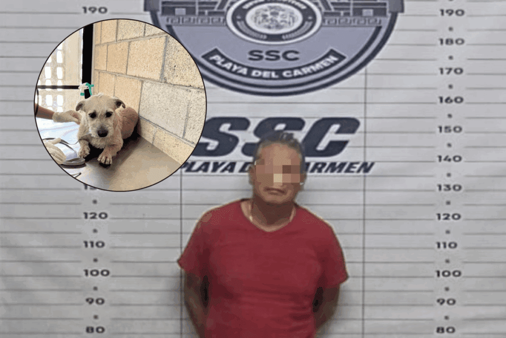 Detienen a hombre por abuso a una perrita en Playa del Carmen