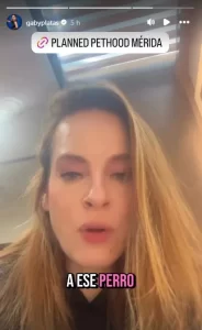 Gaby Platas ofrece recompensa para rescatar a un perrito en Mérida