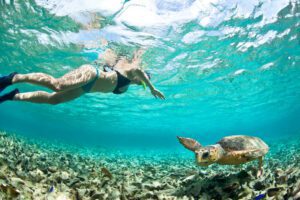 ¿En qué rincón de la Riviera Maya se puede nadar con tortugas?