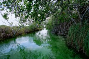 Quintana Roo celebra el Día Mundial del Turismo con modelo comunitario
