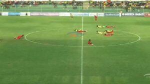 Futbolistas son atacados por abejas en pleno partido 