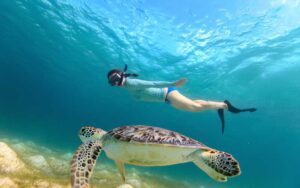 ¿En qué rincón de la Riviera Maya se puede nadar con tortugas?