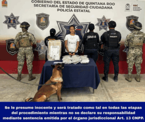 Binomio canino halla caja con drogas; una mujer fue detenida