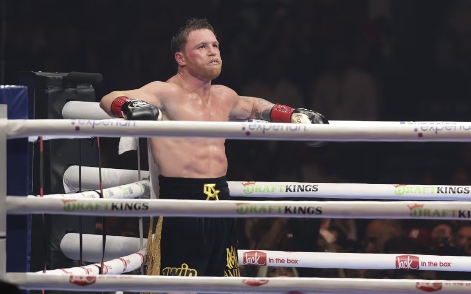 canelo 3