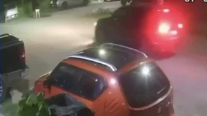 Arrestan a hombre que mató a un perrito de un balazo
