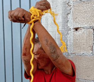 Detienen a hombre por abuso a una perrita en Playa del Carmen
