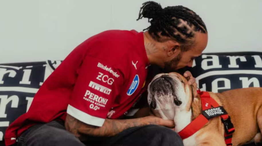 Lewis Hamilton de luto, muere su perro y compañero Roscoe