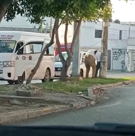 Sancionan a operador de transporte que agredió a un taxista con discapacidad en Cancún