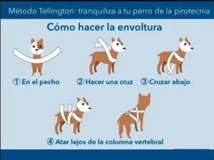 Cómo proteger a tu perrito de la pirotecnia en las Fiestas Patrias