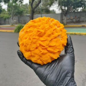 Conchasúchil: el pan que mezcla tradición y creatividad para Día de Muertos