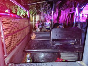 Hombre mata a un perro frente a sus hijos en Cancún