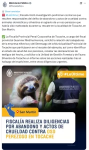 Oso perezoso es maltratado brutalmente en Perú