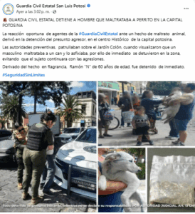 Hombre intentó ahorcar a un perrito y fue detenido