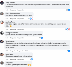 Hombre intentó ahorcar a un perrito y fue detenido