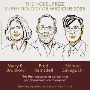 Nobel de Medicina 2025 premia a científicos por investigación sobre sistema inmunológico