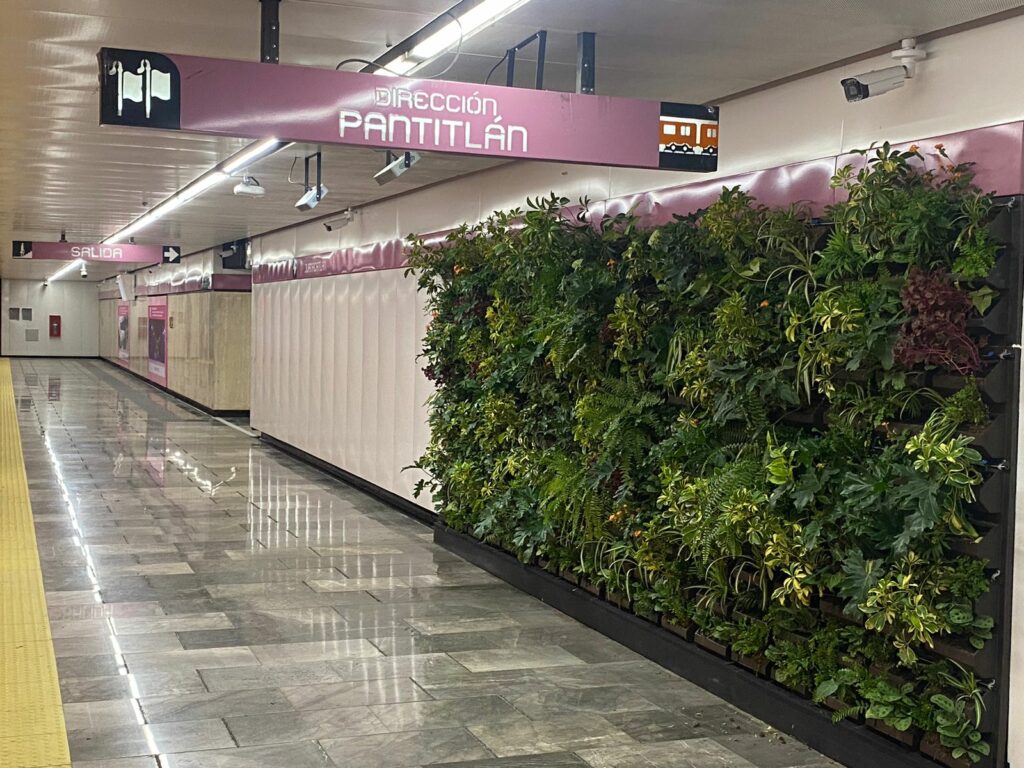 CDMX instala muros verdes en el Metro: Así será el proyecto ecológico y dónde estarán