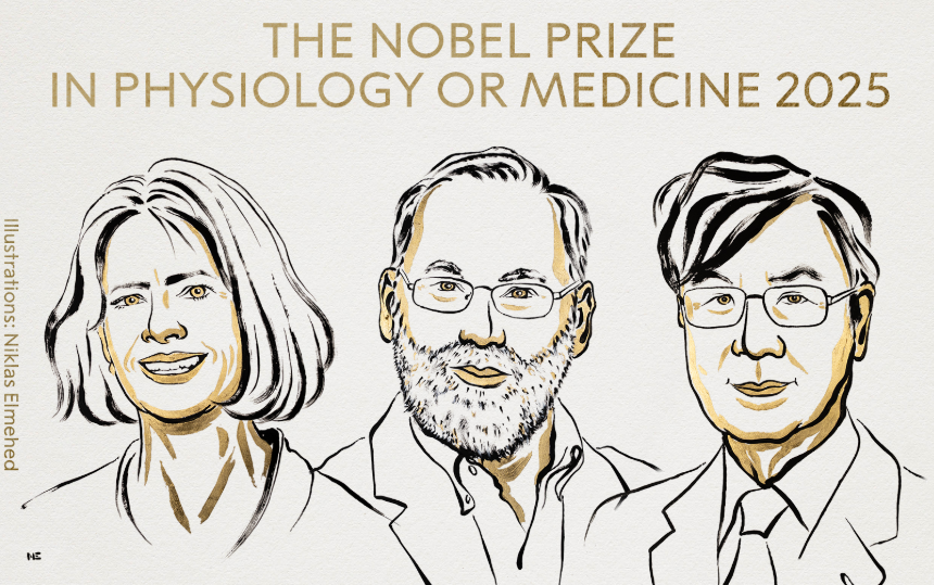 Nobel de Medicina 2025 premia a científicos por investigación sobre sistema inmunológico