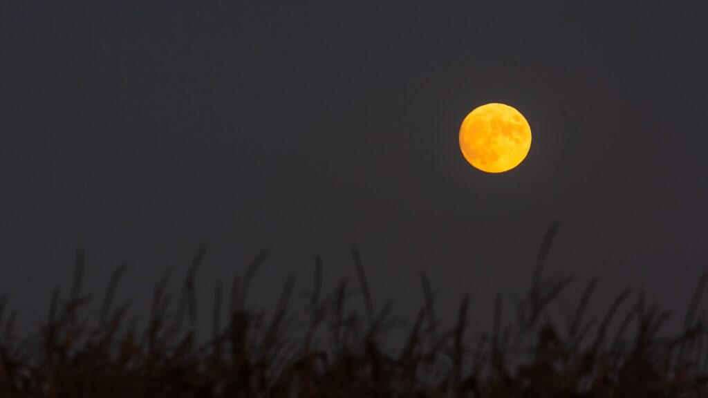 La superluna más brillante del año iluminará el cielo en octubre: la NASA revela todos los detalles