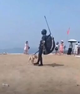 Hombre forza a su perrito a subir a un parapente y recibe fuertes críticas