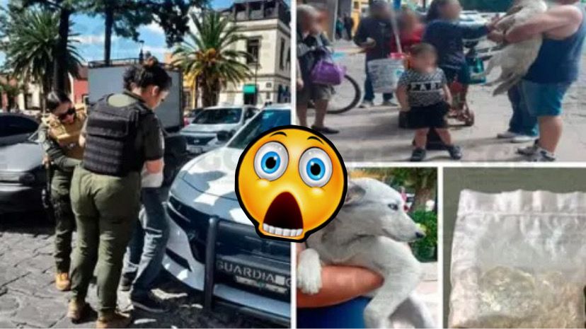 WhatsApp Image 2025 10 06 at 6.49.05 PM