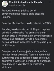 Envenenan masivamente a perritos en plaza de Michoacán 