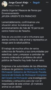 Envenenan masivamente a perritos en plaza de Michoacán 
