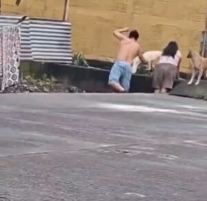 Captan a hombre lanzando perritos a la corriente de un río 