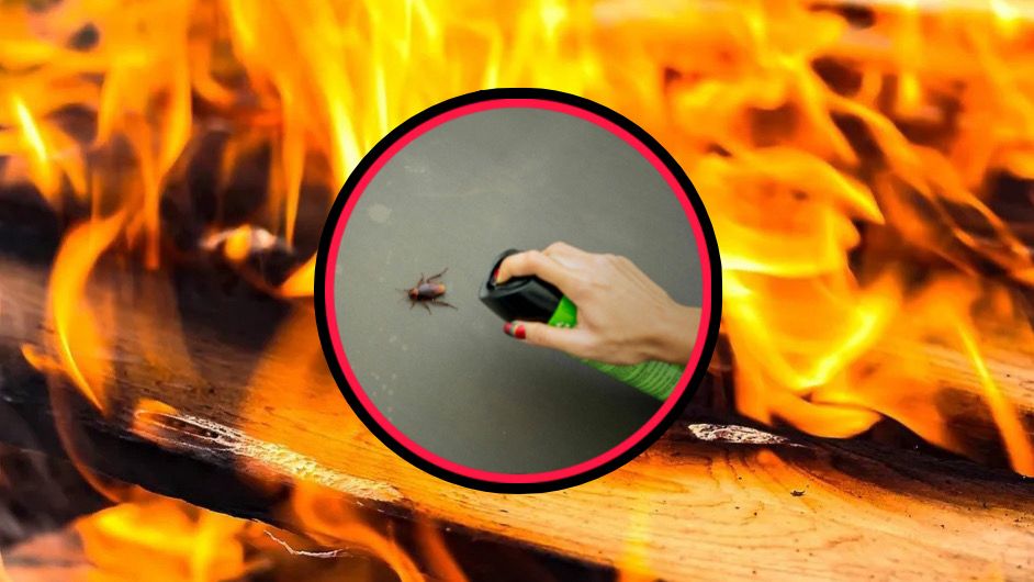 Mujer provoca un incendio tras querer matar una cucaracha con un encendedor 4 WhatsApp Image 2025 10 24 at 10.19.38 PM