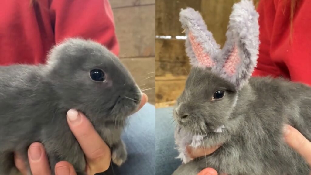 WhatsApp Image 2025 10 29 at 10.59.11 PM