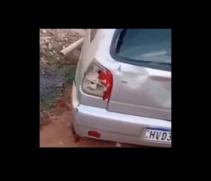 Toro corretea a niños y destruyen un coche 