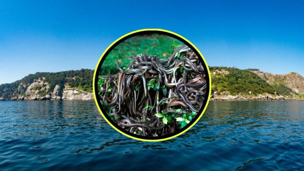 WhatsApp Image 2025 10 30 at 10.31.41 PM