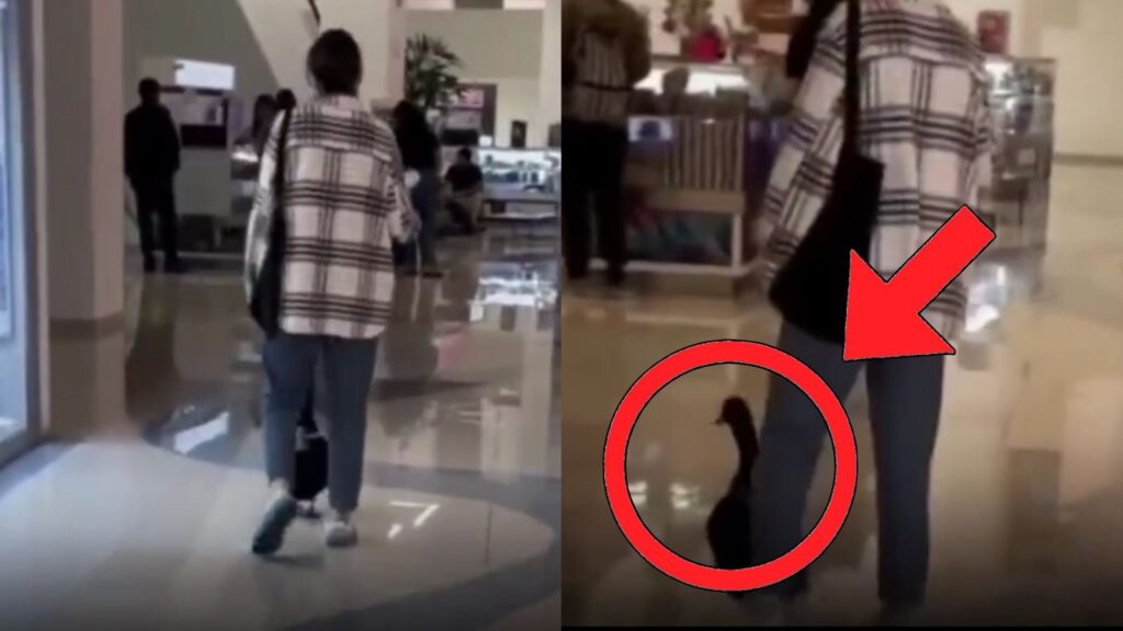 WhatsApp Image 2025 10 31 at 8.37.15 PM